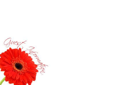 Red Gerbera 5 Guest Information