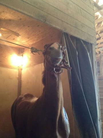 [viral-picdump-pics-262448%255B2%255D.jpg]