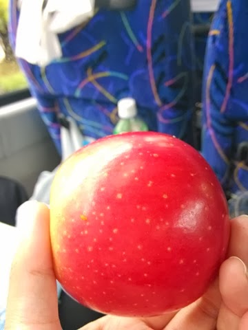 [IMG_20131009_100456%255B3%255D.jpg]