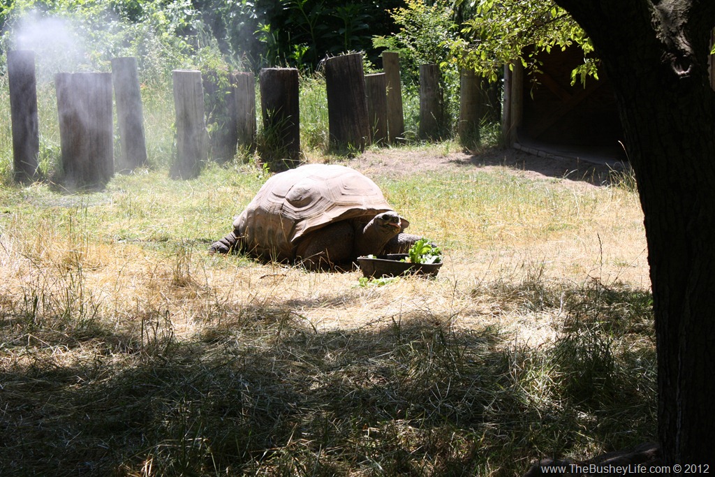 [IMG_0787%255B6%255D.jpg]