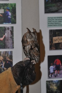 DSC_0259.jpg DSC 0259