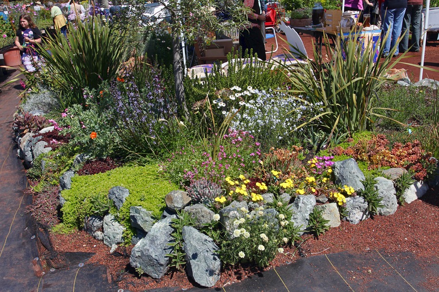 [120414_AnniesAnnuals_24%255B2%255D.jpg]