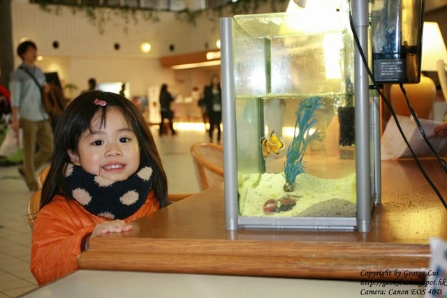 IMG_3105 IMG_3105