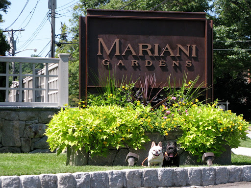 Sharkey, I hope they snap the picture soon because I want to explore Mariani Gardens!