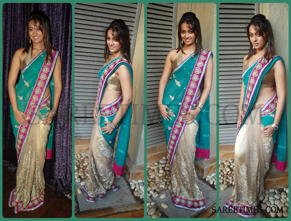 [Dual_Color_Saree%255B3%255D.jpg]