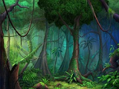 4284floresta
