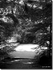 Old road bridge.  Big Creek Falls.  Snoqualmie Lake Trail.  Washington.  August 14, 2012.