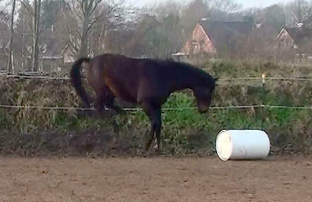 [Donovan6%255B2%255D.jpg]