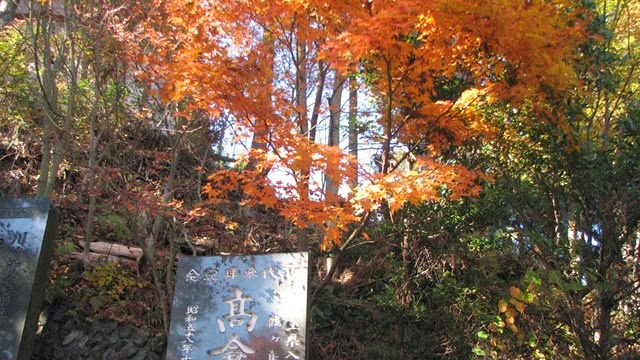 [IMG_4065%255B3%255D.jpg]