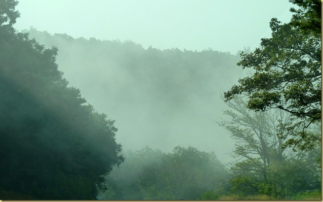 2012-08-04 - Blue Ridge Parkway - MP 46-0 (33)