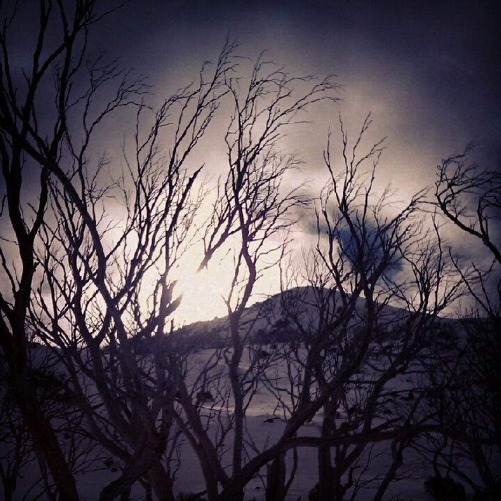 [IMG_20120723_084207%255B3%255D.jpg]