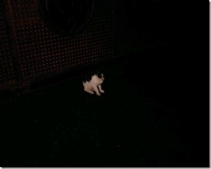 IMG01952-20120229-1822 IMG01952-20120229-1822