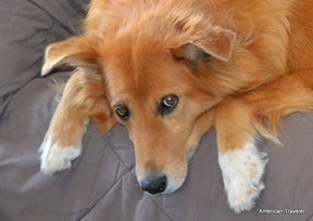 DSC_0892 DSC_0892