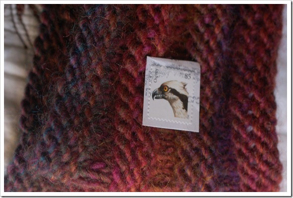 Rainbow Cowl