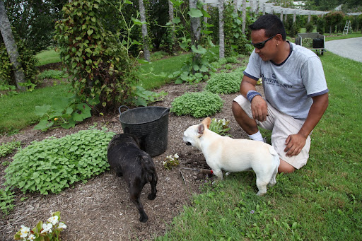 I see that you're weeding.  We can help.  You know, so many complain about weeding, but it's really very gratifying.  In fact, if you put yourself in the right frame of mind, it can be almost meditative!