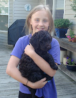 Sweet Gentle Doodle Pup