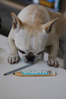 I see what you mean.  The Martha pencil also smell sweet.