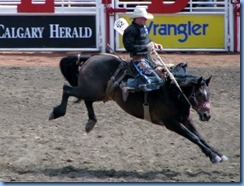 9384 Alberta Calgary - Calgary Stampede 100th Anniversary - Stampede Grandstand - Calgary Stampede Rodeo Novice Saddle Bronc Championship