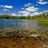 Small Lake on a Beautiful Summer Afternoon / Northern Minnesota