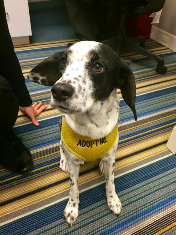 [10407502_770347856374795_4886563861671942714_n%255B2%255D.jpg]