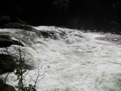 IMG_5345.JPG