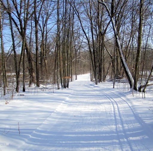 End of North Loup trail main loop