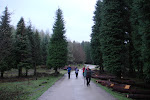 Saldropo