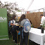 Imagen galeria neurociencia FIESTA DE LA QUÍMICA 583.jpg