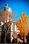 20111108-IMG_3569.jpg