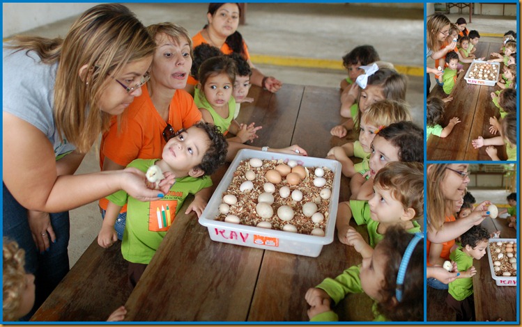 2012_04_25_Vira_Virou_Fazendinha_Seleção_0122