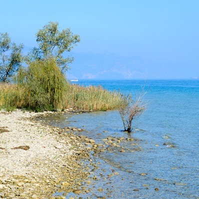 Sermoine-58