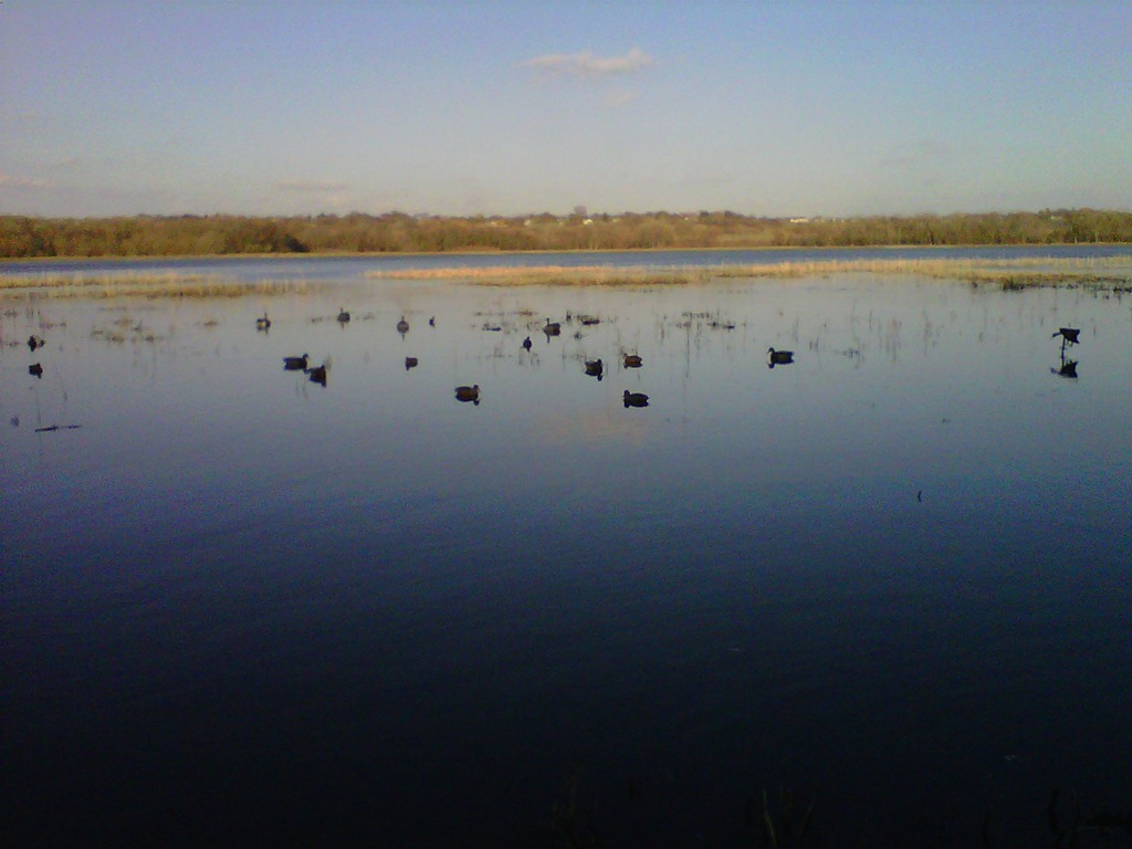 [IMG00307-20111106-1521%255B3%255D.jpg]