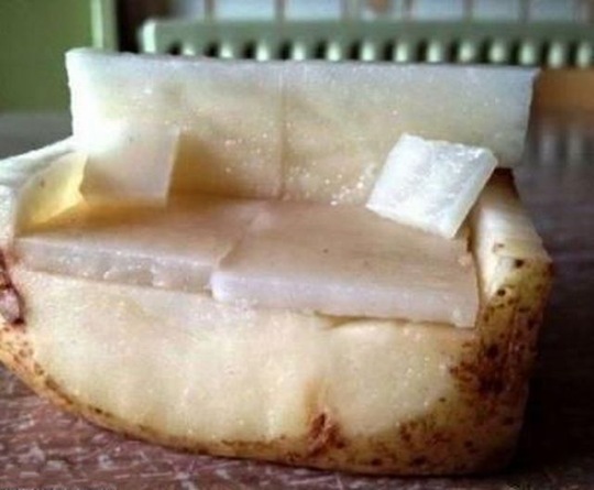 [viral-picdump-pics-30%255B2%255D.jpg]
