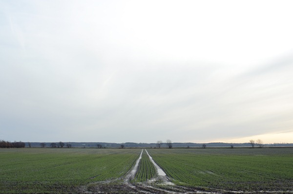 [DSC_7257%255B2%255D.jpg]