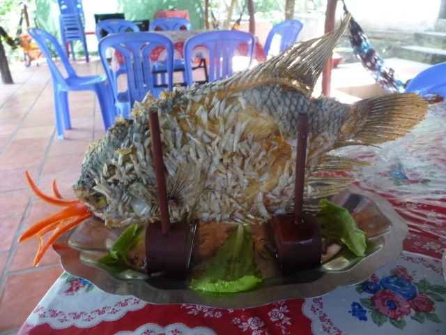 [P10907014.jpg]