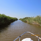 IMG_5659.JPG