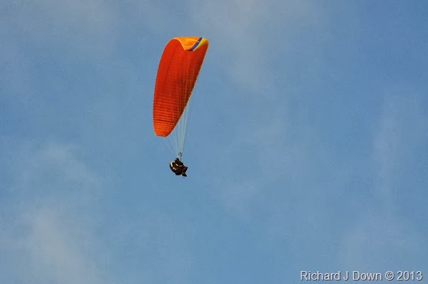 DSC_4266_spotted DSC_4266_spotted