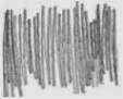 [clip_image0023.jpg]