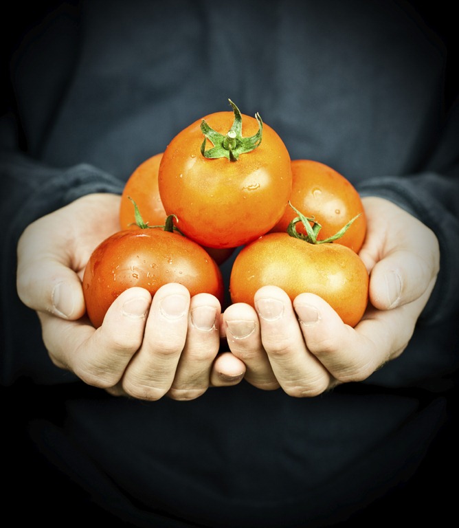 [tomatoes%255B3%255D.jpg]