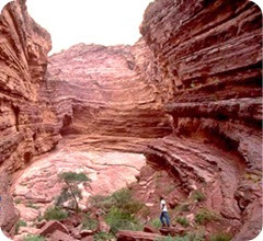 salta salta