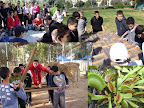 etgarim-yarok999.jpg