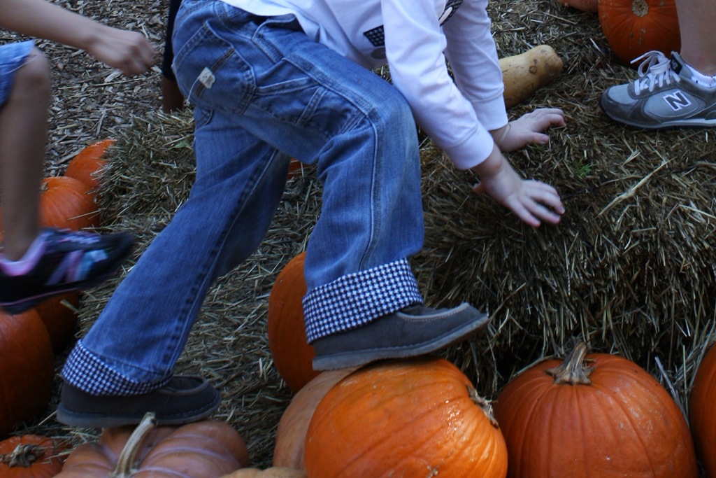 [IMG_4853e%255B5%255D.jpg]