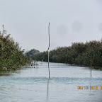 IMG_7960.JPG