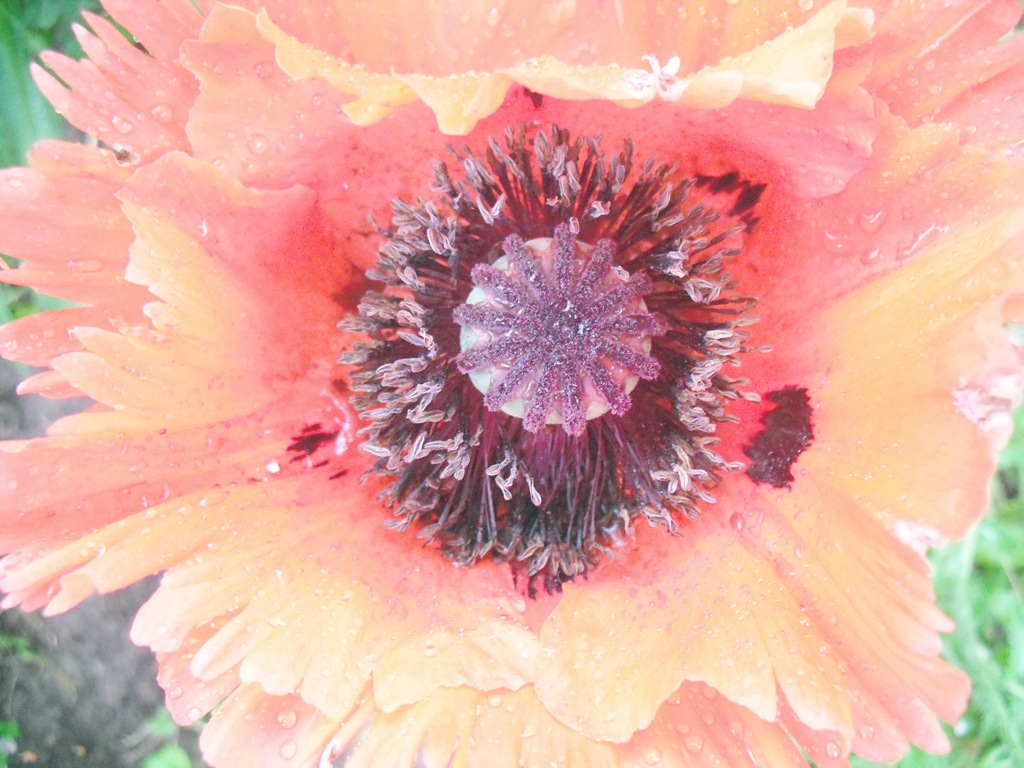 [063%255B5%255D.jpg]