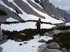 Povremeno "skijamo" preko klekovine (Photo by Slavek Peklaric)