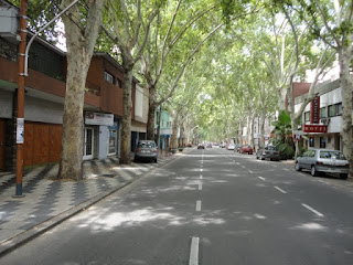 Every street was tree lined and shady. Good thing because it can get in the 90s on a regular basis.