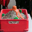 BILD0245.JPG
