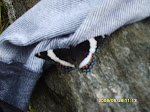 sd530810_20090329_1302602899.jpg