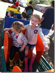 IMG_2281 IMG_2281