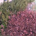 HTC One M8 1080P Test